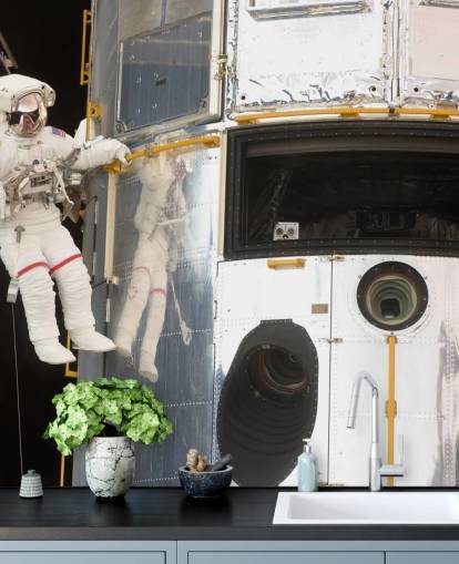 Hanging Out With Hubble Wallpaper Mural