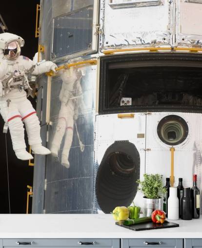 Hanging Out With Hubble Wallpaper Mural