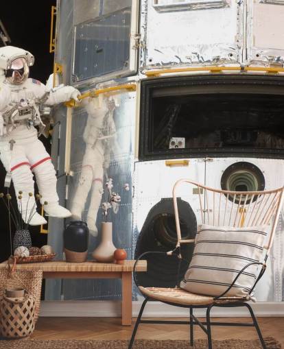 Hanging Out With Hubble Wallpaper Mural