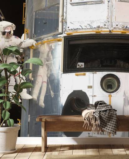 Hanging Out With Hubble Wallpaper Mural