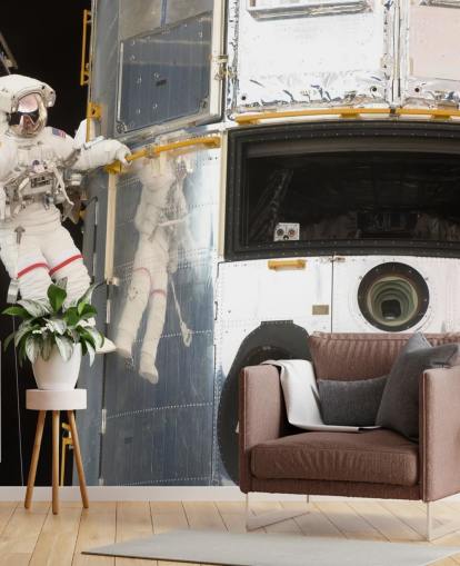 Hanging Out With Hubble Wallpaper Mural