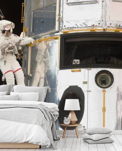 Hanging Out With Hubble Wallpaper Mural