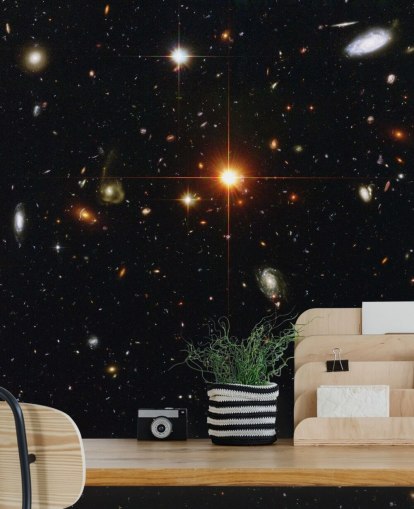 Papier Peint Fresque Un zoo de galaxies