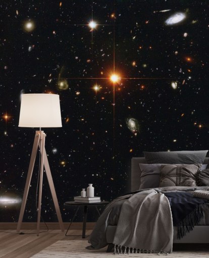 A Zoo of Galaxies Wall Mural A Zoo of Galaxies Wall Mural
