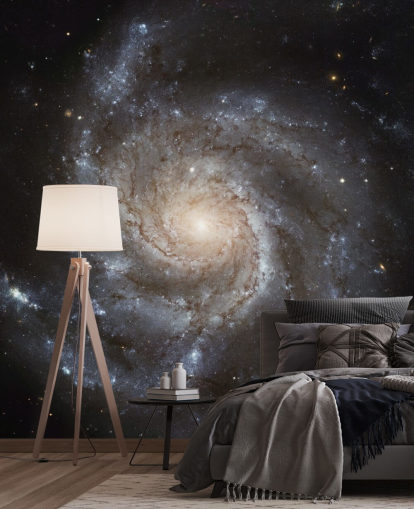 Carta da Parati Gigante Disco di Stelle