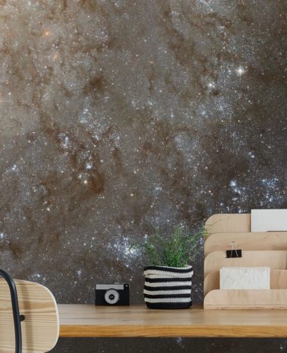 A Detailed Look at Spiral Galaxy M101 NASA Wallpaper