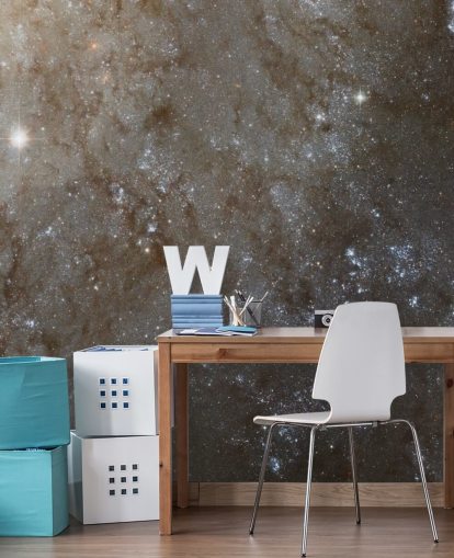 En detaljerad titt på Spiral Galaxy M101 Bakgrund