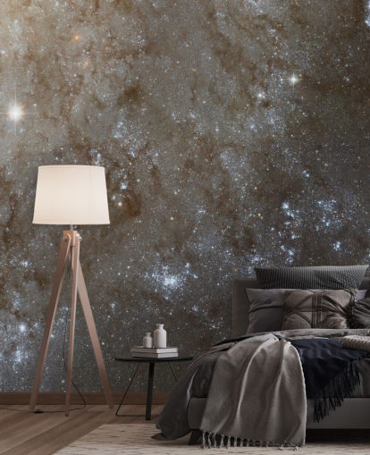 Un aperçu détaillé du papier peint Spiral Galaxy M101 Un aperçu détaillé du papier peint Spiral Galaxy M101