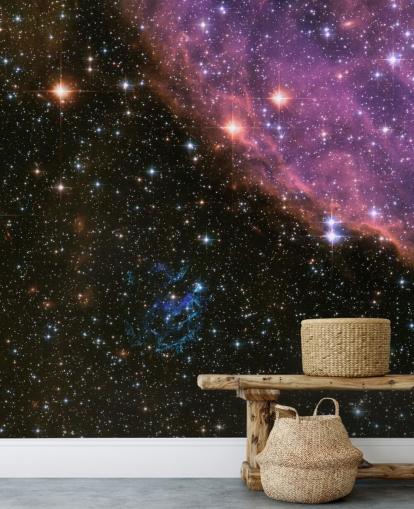 Supernova Remnant E0102 Wallpaper Mural