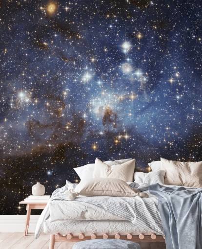 LH 95 in the Large Magellanic Cloud Mural LH 95 in the Large Magellanic Cloud Mural