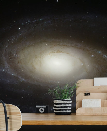 Grand Design Spiral Galaxy M81 Bakgrund