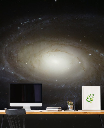 Papier peint Grand Design Spiral Galaxy M81