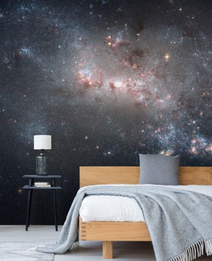 Stellar Fireworks Ablaze in Galaxy NGC4449 Mural Stellar Fireworks Ablaze in Galaxy NGC4449 Mural