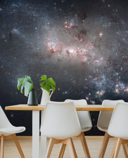 Stellar Fireworks Ablaze in Galaxy NGC4449 Mural Stellar Fireworks Ablaze in Galaxy NGC4449 Mural