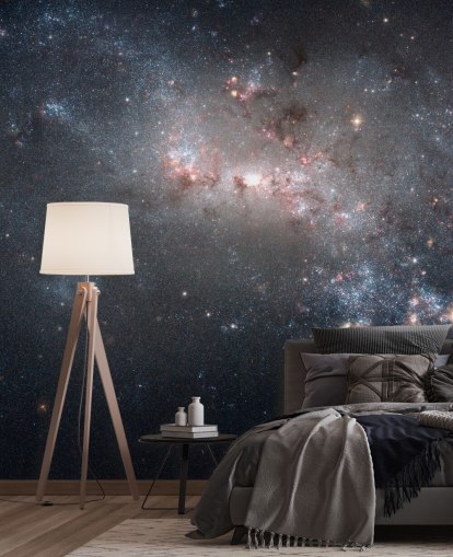 Peinture murale Stellar Fireworks Inflamze in Galaxy NGC4449 Peinture murale Stellar Fireworks Inflamze in Galaxy NGC4449