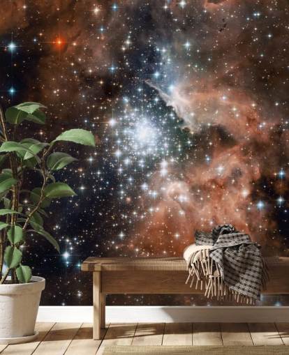 Star Cluster estalla en vida Photo Wallpaper