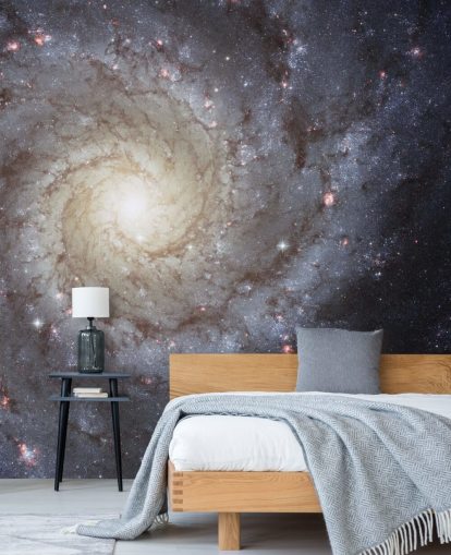 Spiral Galaxy M74 Mural Wallpapers