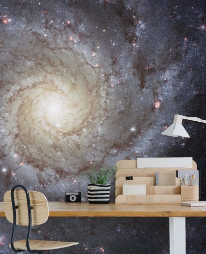 Mural Espiral Galaxy M74 Mural Espiral Galaxy M74