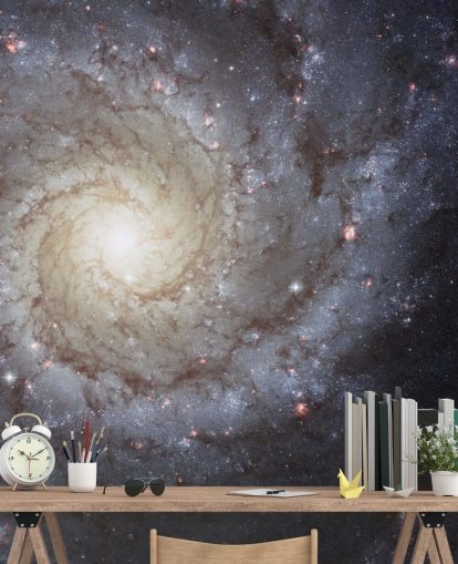 Spiral Galaxy M74 Mural Wallpapers