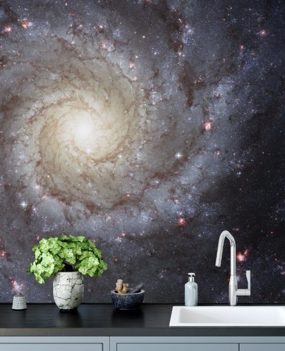 Spiral Galaxy M74 Mural Wallpapers