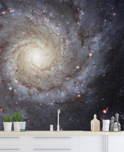 Spiral Galaxy M74 Mural Wallpapers