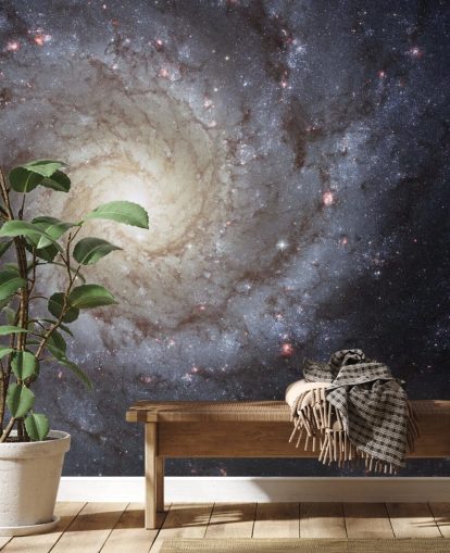 Mural Espiral Galaxy M74