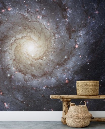 Mural Espiral Galaxy M74