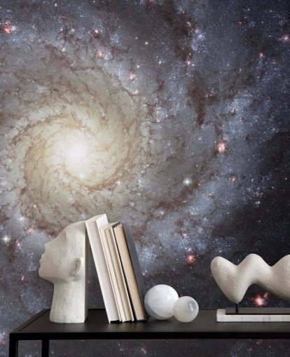 Spiral Galaxy M74 Mural Wallpapers