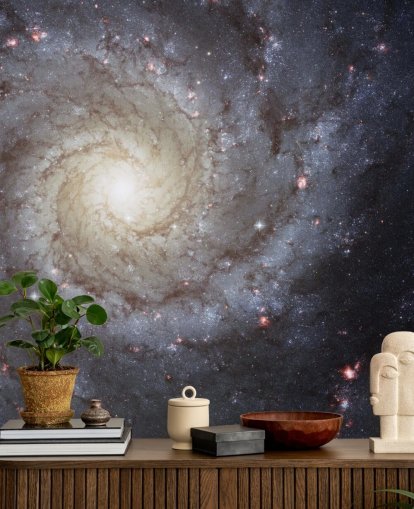 Spiral Galaxy M74 Mural Wallpapers