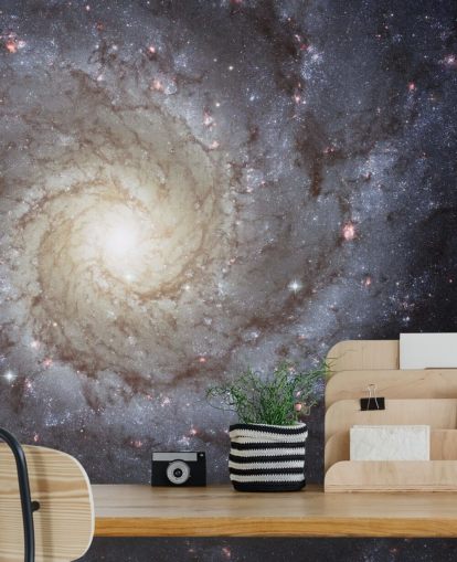 Spiral Galaxy M74 Mural Wallpapers