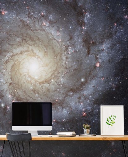 Spiral Galaxy M74 Mural Wallpapers Spiral Galaxy M74 Mural Wallpapers