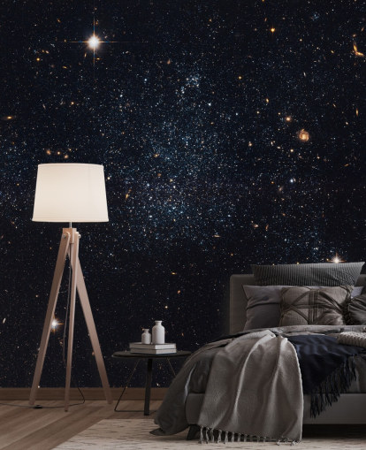 Murale de la Galaxie naine Holmberg IX