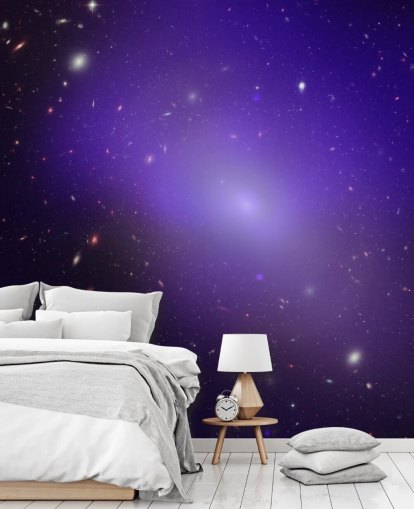 NGC 1132 - Chandra Observatory and Hubble Mural