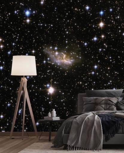 Mural Galaxia interactiva del Hubble ESO 99-4