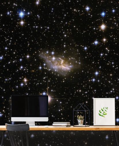 Hubble Interacting Galaxy ESO 99-4 Mural