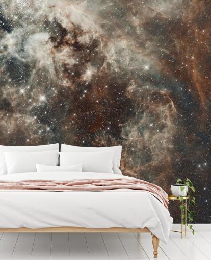 Tarantula Nebula Stor magellanic Cloud Bakgrunn Tarantula Nebula Stor magellanic Cloud Bakgrunn