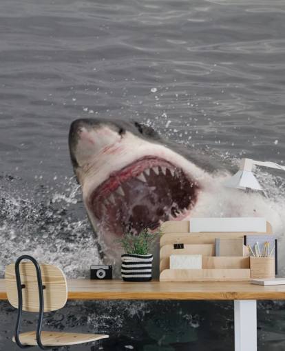 Angry Shark Baggrund Angry Shark Baggrund