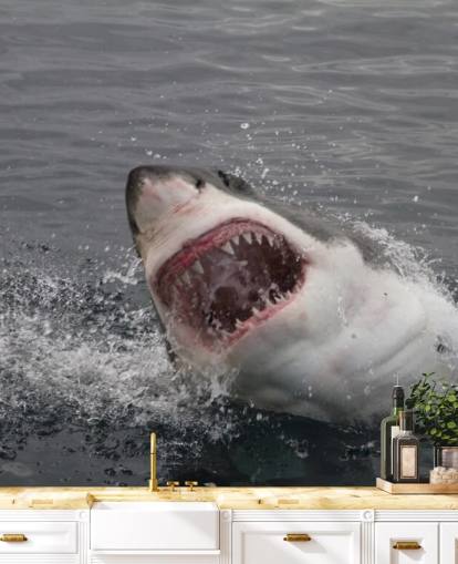 Angry Shark Wallpaper