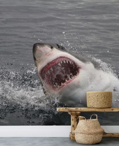 Sfondo Angry Shark