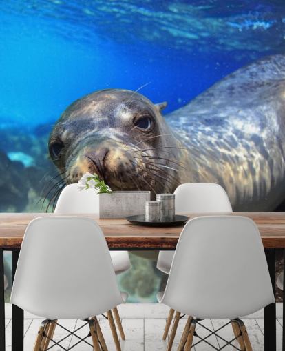 Nosey Sea Lion Behang