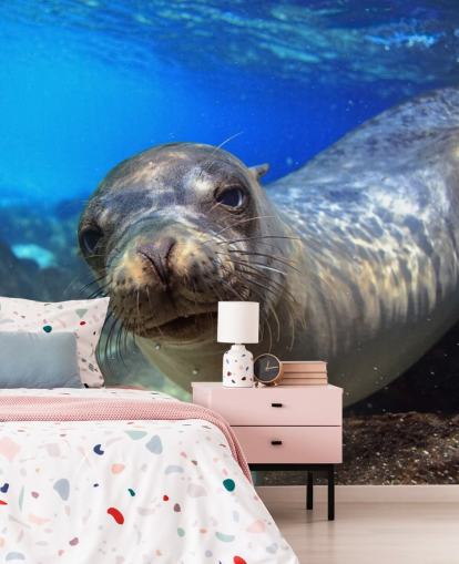 Papel de Parede Nosey Sea Lion Papel de Parede Nosey Sea Lion