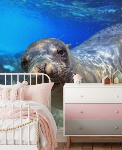 Nosey Sea Lion Hintergrundbild