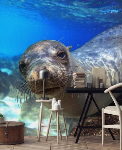 Nosey Sea Lion fondo de pantalla