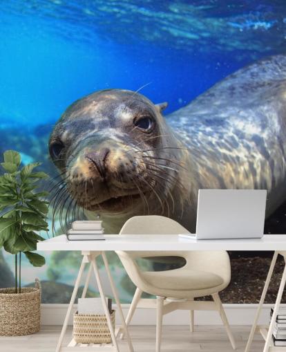 Nosey Sea Lion Bakgrunn