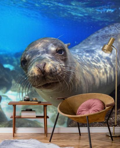 Nosey Sea Lion Taustakuva