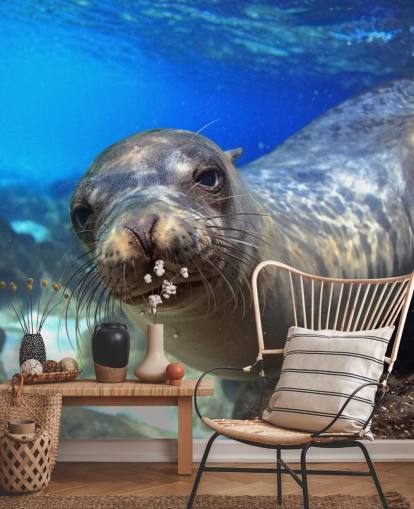 Nosey Sea Lion Bakgrunn Nosey Sea Lion Bakgrunn