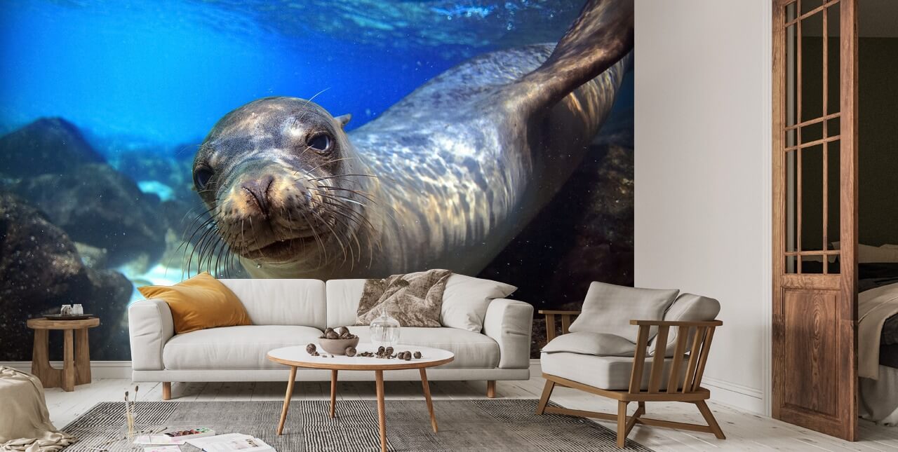 Sea Lion Wallpaper | Wallsauce UK