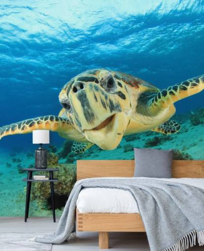 Papel de parede bonito da tartaruga Papel de parede bonito da tartaruga