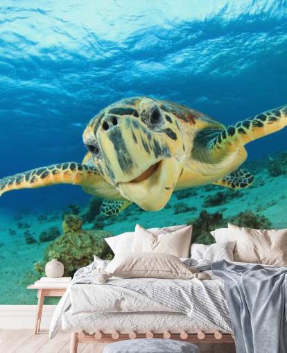 Nette Schildkröte Nahaufnahme Tapete