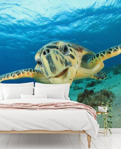 Nette Schildkröte Nahaufnahme Tapete